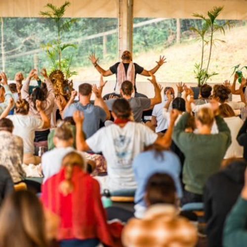 Best Online Yoga Subscription for Beginners (2026 Guide)